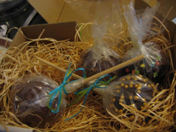 Gourmet chocolate apples in box